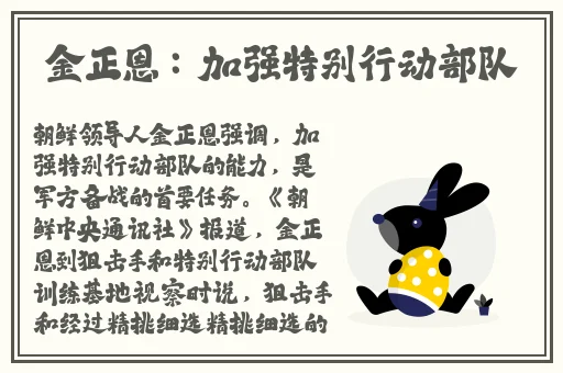 爱琳诗篇幻影空域攻略大全