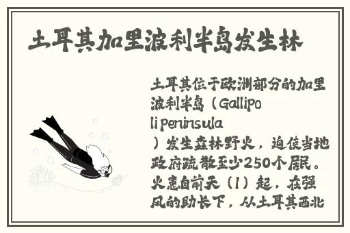 我想吃你的水蜜桃葡萄扇贝视频